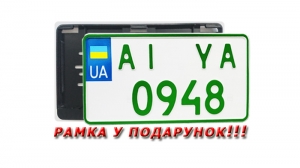 Американські номери для електромобілів